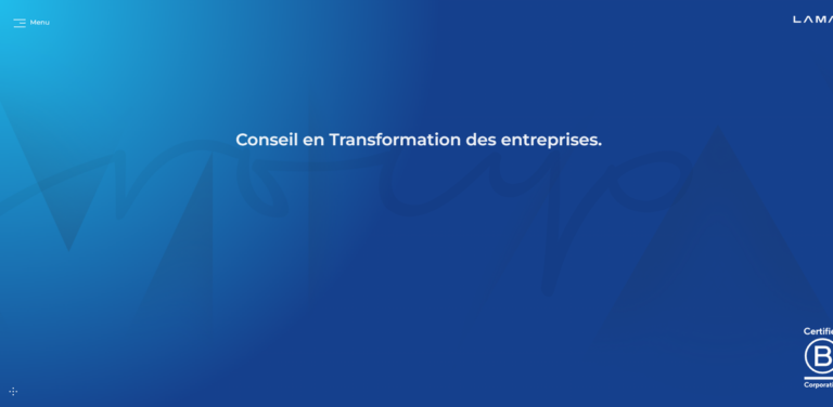 Lamarck Group: Consulting for Business Transformation and Responsible Economy