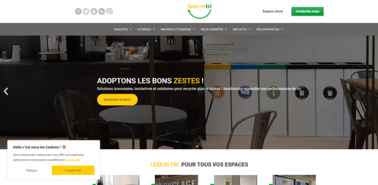 Lemon Tri: Innovative Solutions for Waste Management and Recycling