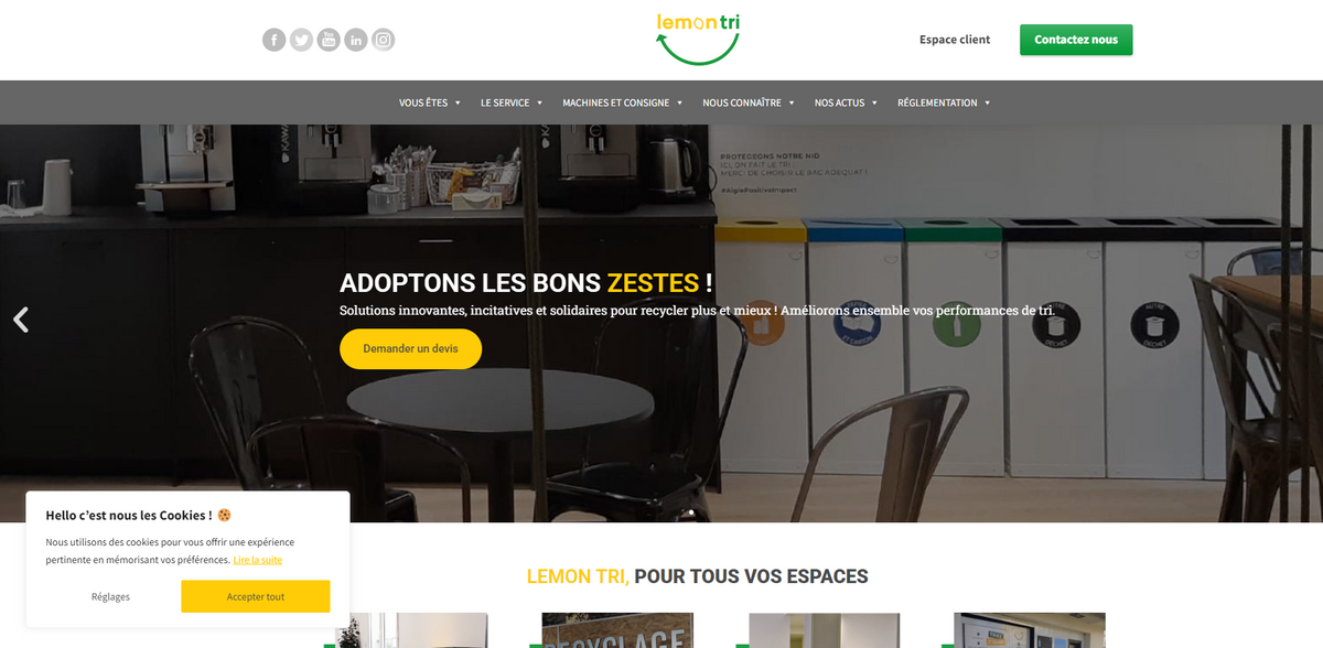 Lemon Tri waste management
