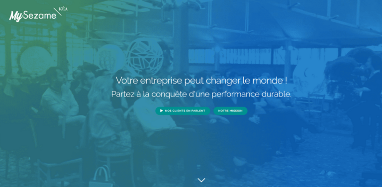 MySezame: Transforming Organizations for Social and Environmental Success