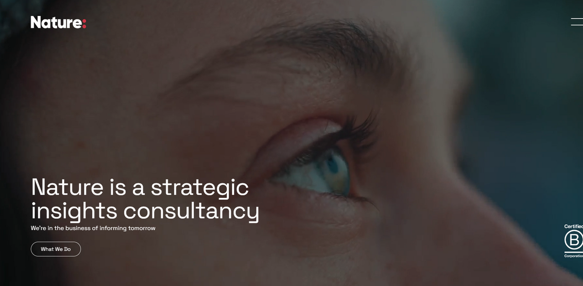 strategic insights consultancy