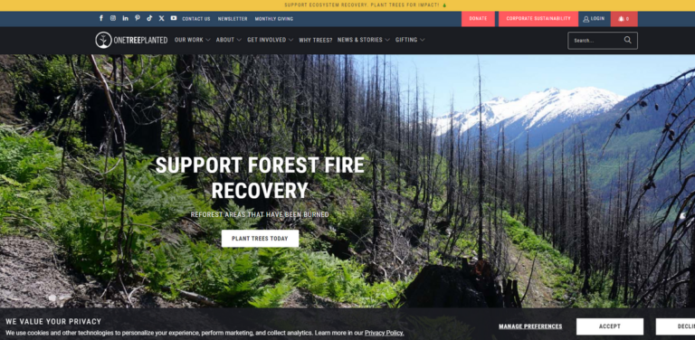 One Tree Planted: Simple Solutions for Global Reforestation
