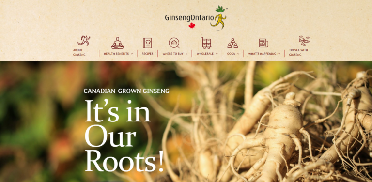 Ontario Ginseng: A Deep Dive into Canada’s Heritage Crop