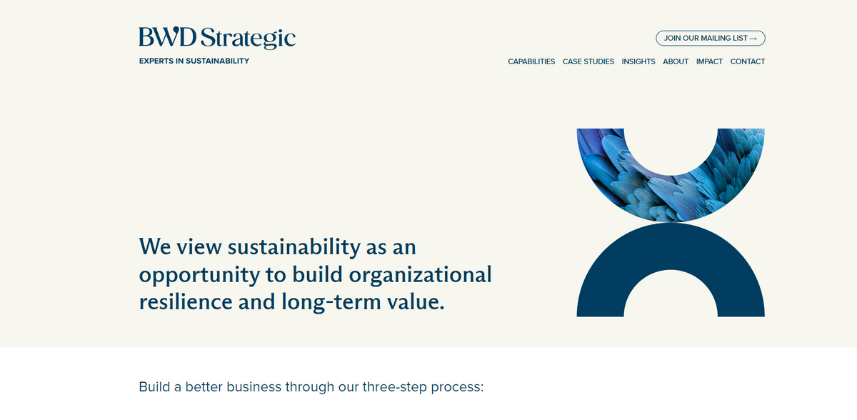 sustainability strategy