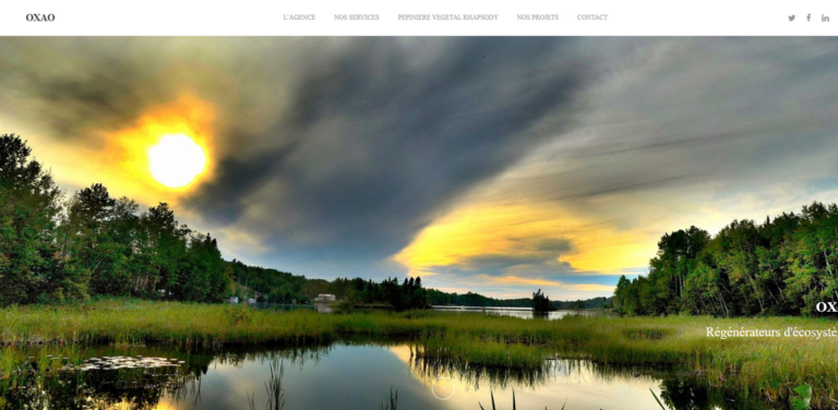 OXAO: Regenerating Ecosystems Through Strategic Consulting and Ecological Engineering