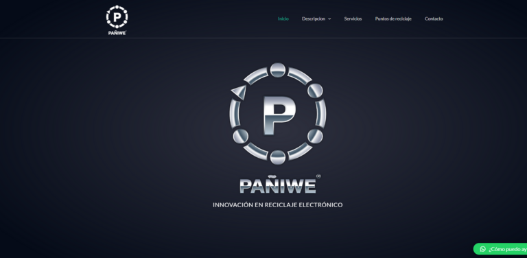 Pañiwe Sustentable LTD.: Innovating Electronic Recycling for a Greener Future