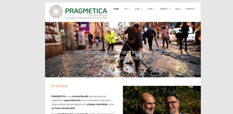 PRAGMETICA: Supporting Sustainable Development Through Learning and Consulting