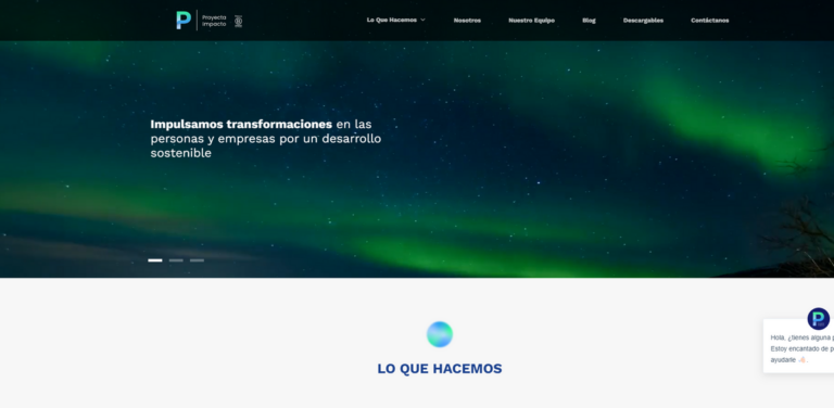 Proyecta Impacto: Merging Technology with Environmental Consulting