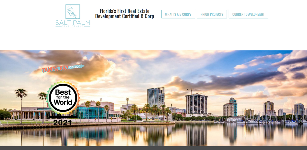 Salt Palm Development