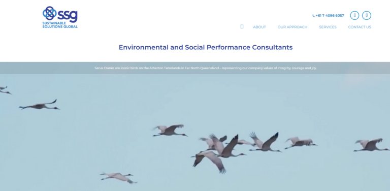 Sarus Cranes: Environmental and Social Performance Consulting for Sustainable Futures