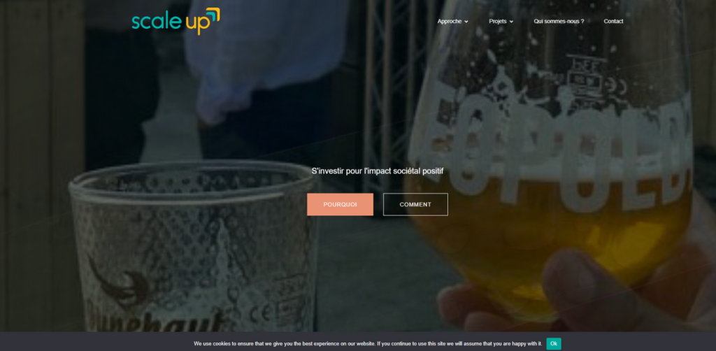 Scale Up - Investing for Positive Societal Change in Belgium