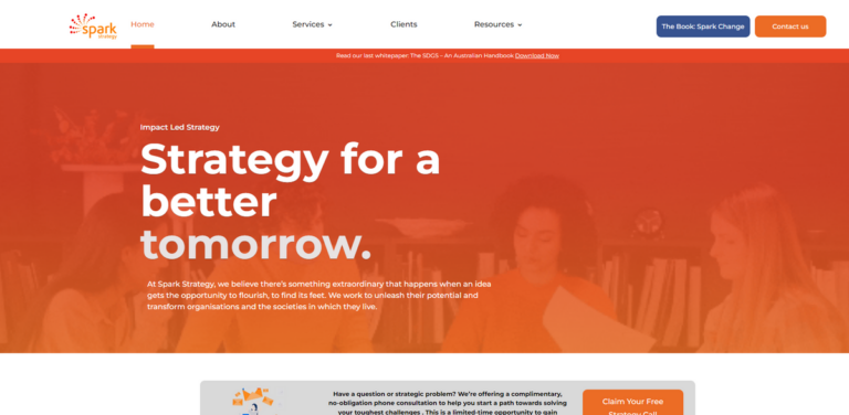 Spark Strategy: Transforming Not-for-Profit Management for Lasting Impact