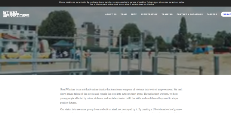 Steel Warriors: Transforming Seized Knives into Outdoor Gyms for Youth Empowerment