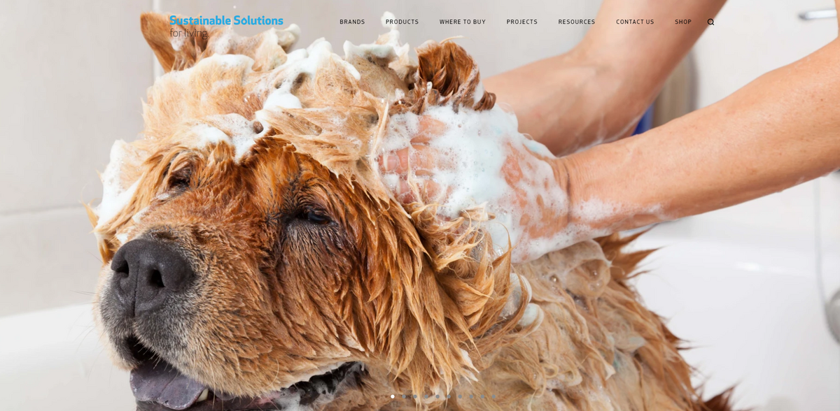 Sustainable Solutions