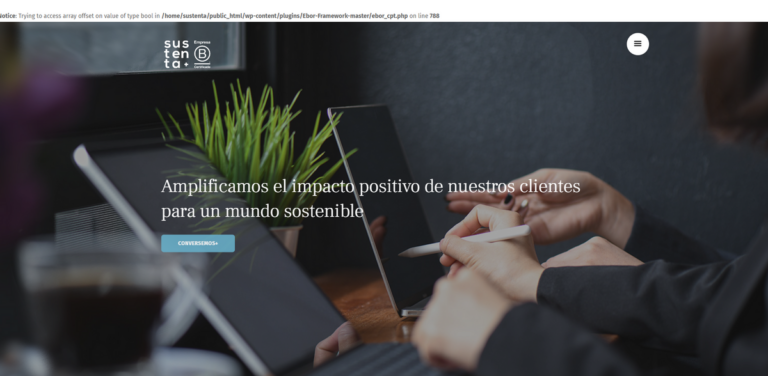 Sustenta: A Management Consultant Initiative for Corporate Sustainability