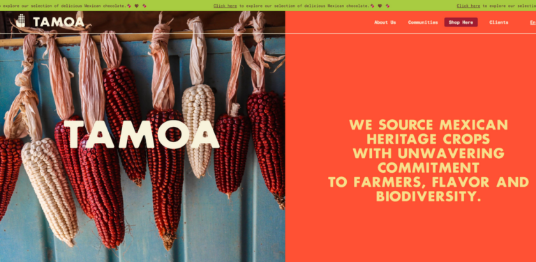 TAMOA: Preserving Culinary Heritage and Promoting Sustainable Agriculture