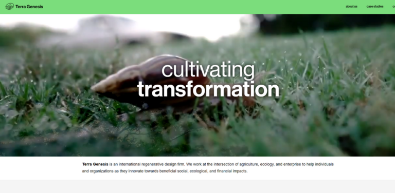 Terra Genesis: A Regenerative Design Firm for Sustainable Impact