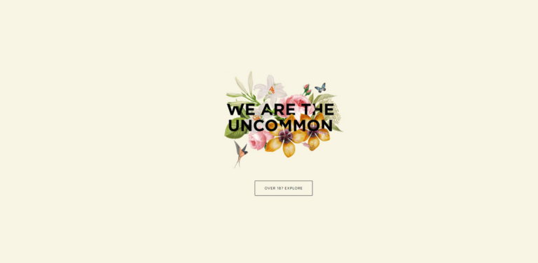 The Uncommon: Crafting Exceptional English Wines in Cans