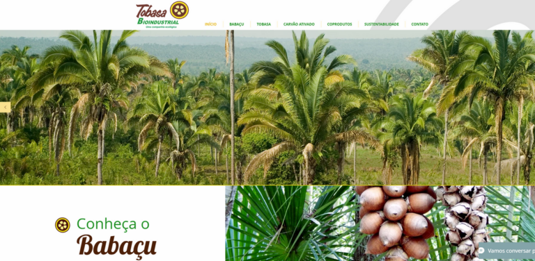 TOBASA: Integral Use of Babaçu Coconut for Sustainable Products