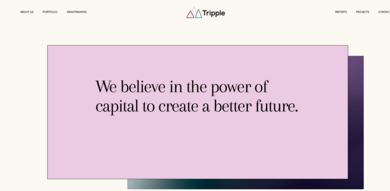 Tripple: Transforming Capital into Real-World Impact