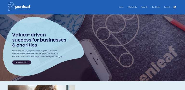 VALUES-DRIVEN SUCCESS FOR BUSINESSES & CHARITIES: Aligning Profit with Purpose