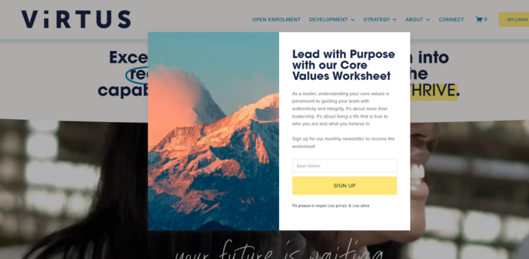 ViRTUS: Transforming Leadership Development in Management Consulting