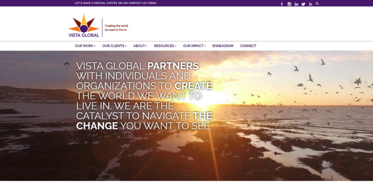 Vista Global Coaching & Consulting: Transforming Leadership and Organizational Development