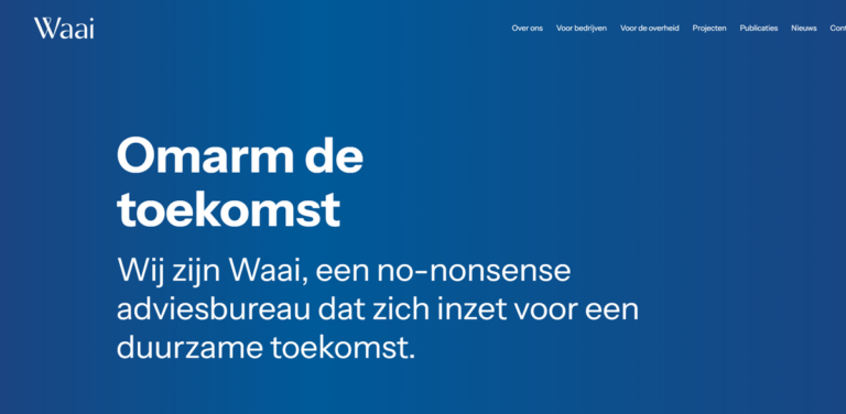 Waai Strategy Consulting: Innovative Solutions for Policy Development
