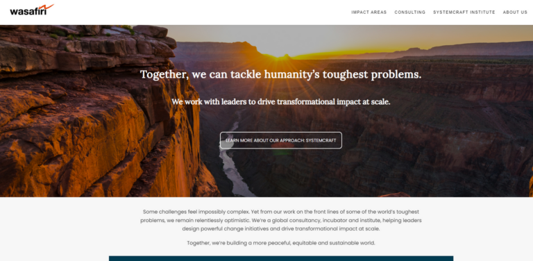 Wasafiri Consulting: Transforming Global Challenges into Sustainable Solutions