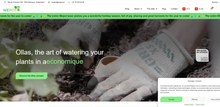 Wepot: Eco-Friendly Ollas for Sustainable Watering Solutions