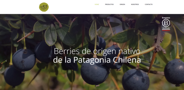 Wild Patagonia Foods: Offering 100% Natural Berries from Chilean Patagonia