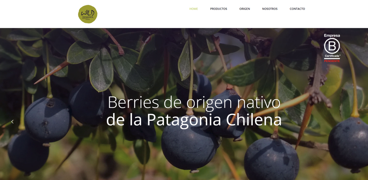 Wild Patagonia Foods