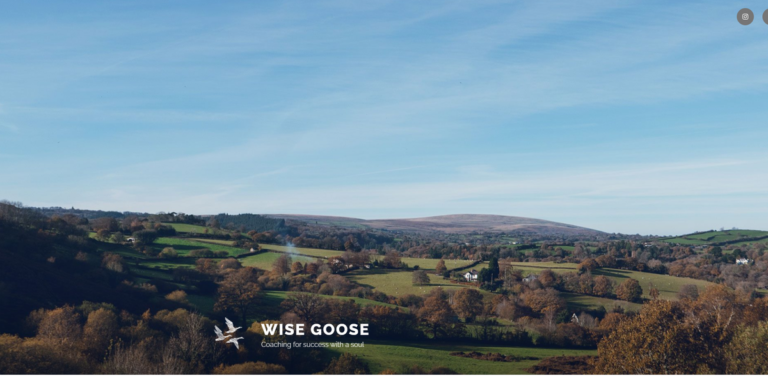 Wise Goose: Empowering Coaches for Purpose-Driven Transformation