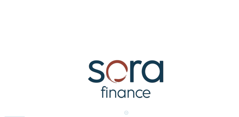 Sora Finance: Advisory Services for Impact Entrepreneurs Focused on Sustainability