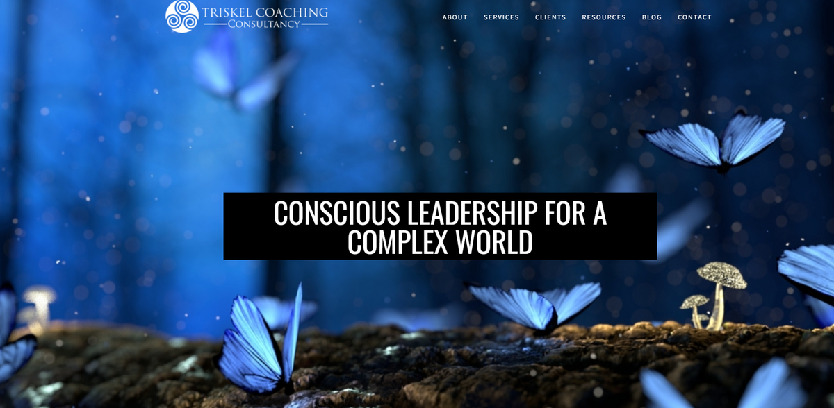 TRISKEL Coaching: Empowering Heart-Centered Leaders for Sustainable Growth
