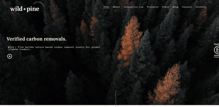 Wild + Pine Project: Nature-Based Carbon Removal Solutions for a Sustainable Future
