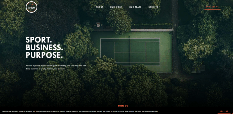 17 Sport: Impact-Driven Sports Marketing and Consulting Firm