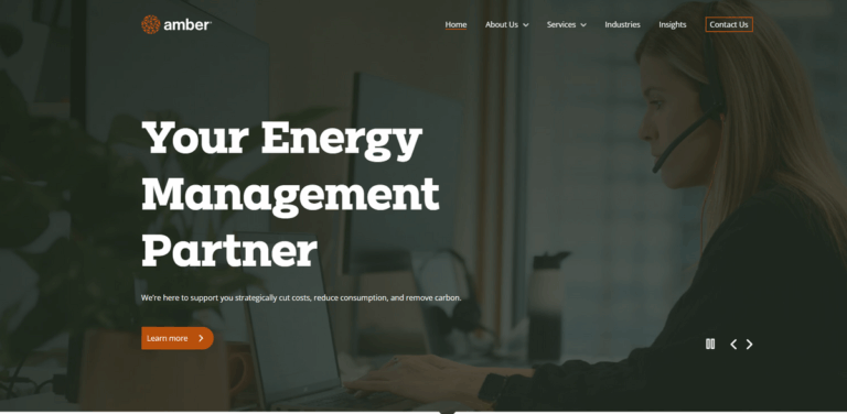 Amber: Energy Management Consultancy for Sustainable Business Practices