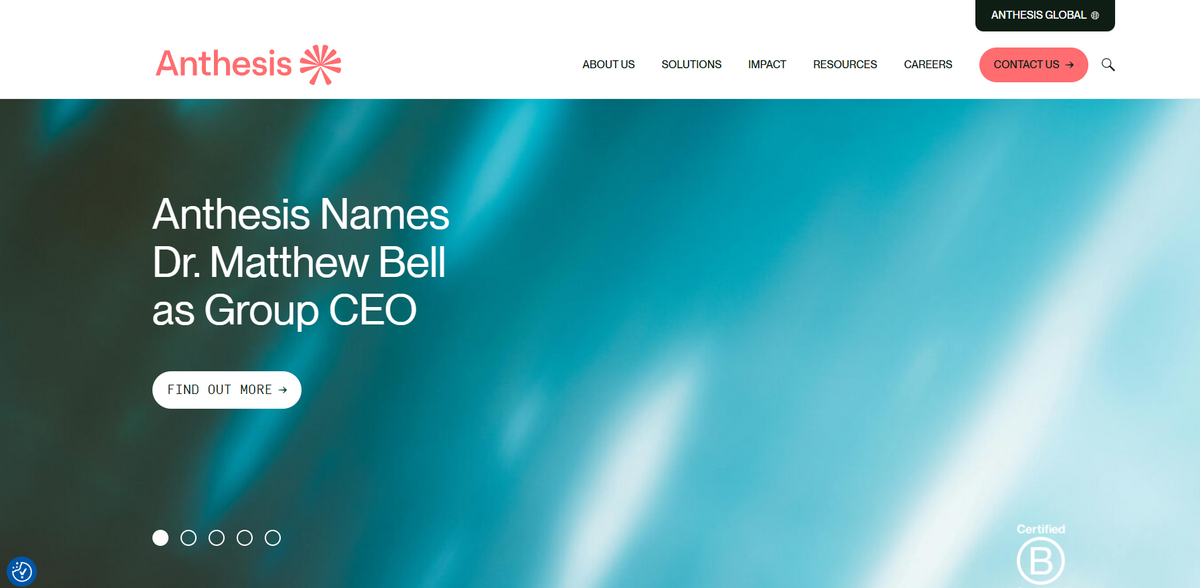 Anthesis: Guiding Organizations Towards Sustainable Performance