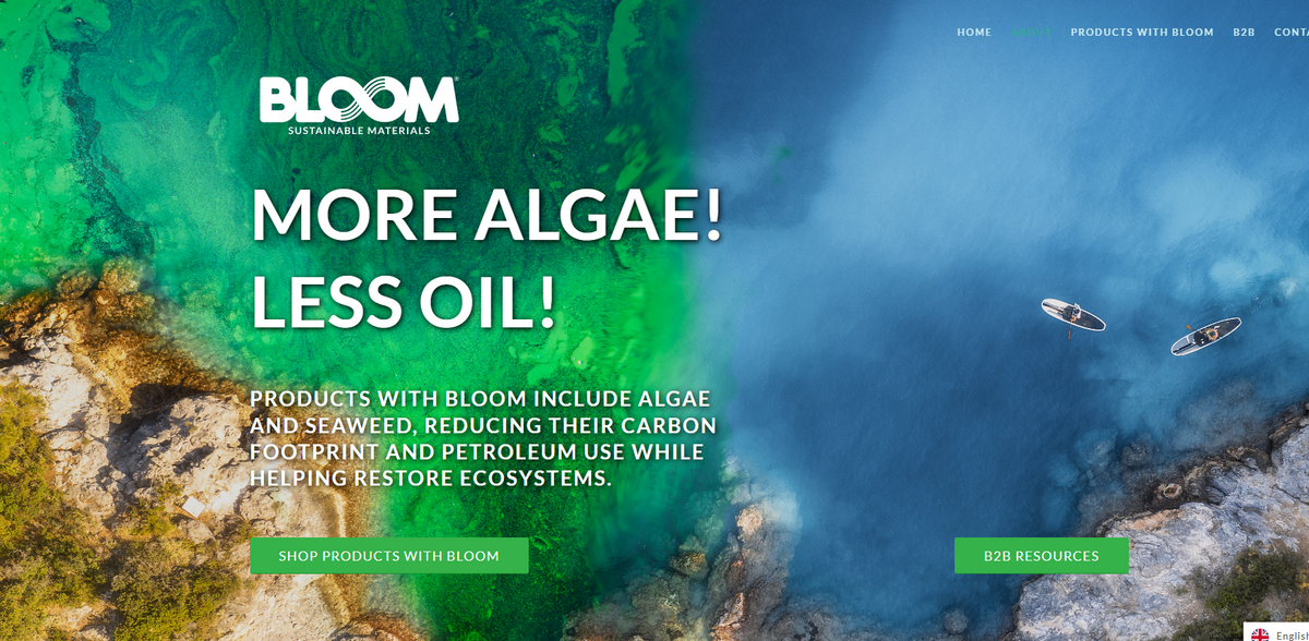 BLOOM sustainable materials