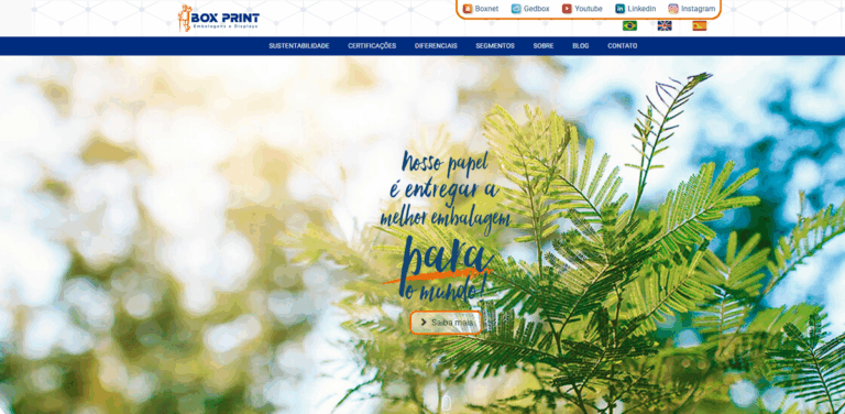 Box Print: Innovative and Sustainable Packaging Solutions for a Greener Future