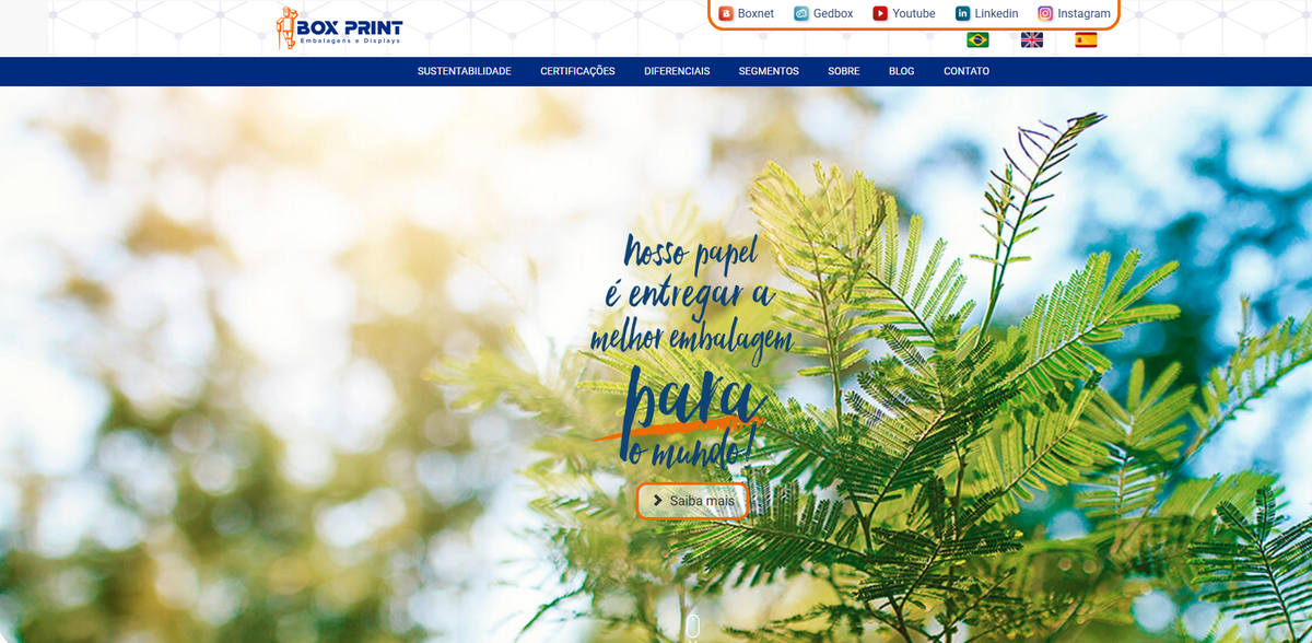 sustainable packaging solutions