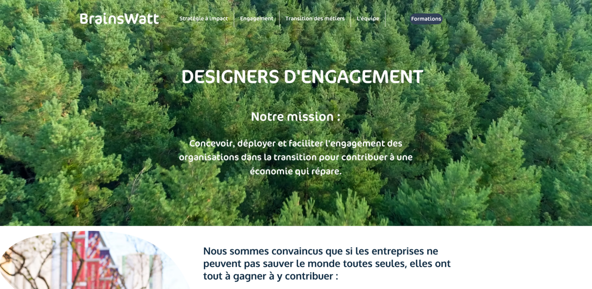 BrainsWatt regenerative consulting