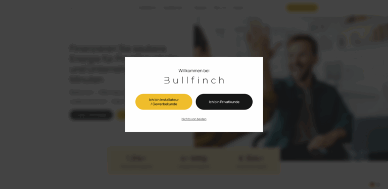 Bullfinch: Financing Green Energy Infrastructure Projects Efficiently