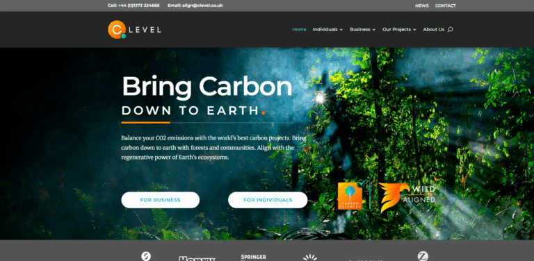 C Level: Environmental Consulting for Carbon Offsetting and Sustainability