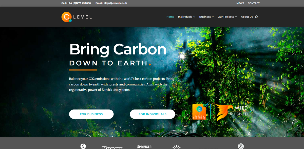 C Level carbon consulting