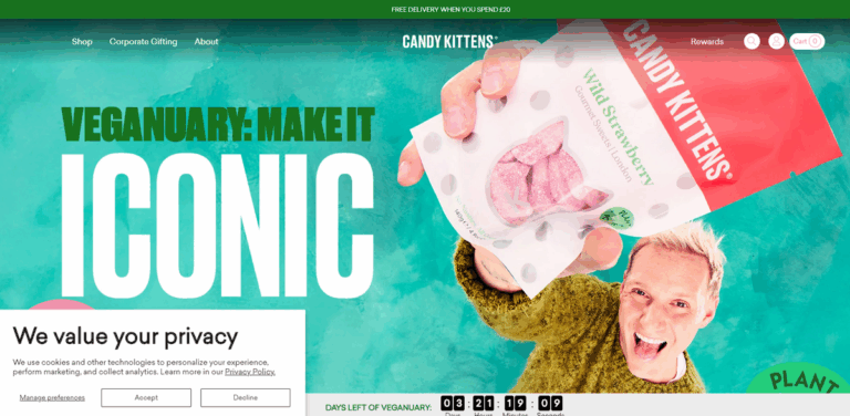 Candy Kittens: Gourmet Plant-Powered Sweets for a Better Tomorrow