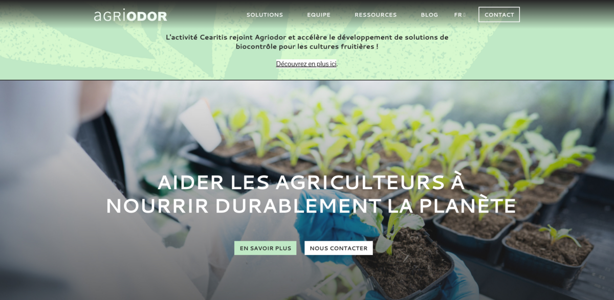 Cearitis biocontrol solutions