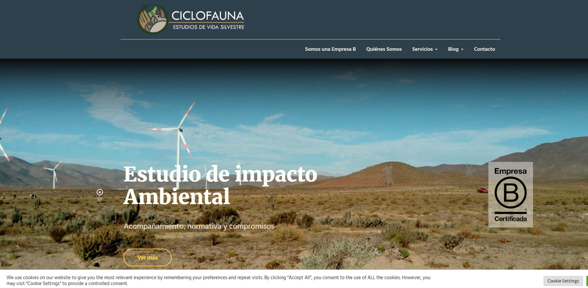 environmental consulting