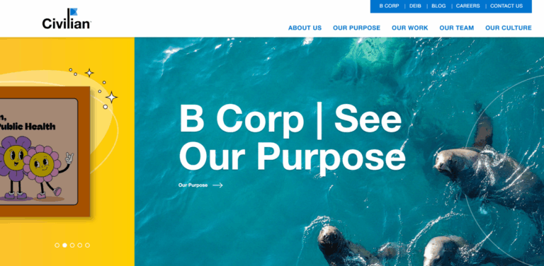 Civilian: A Collective Committed to Social and Environmental Change